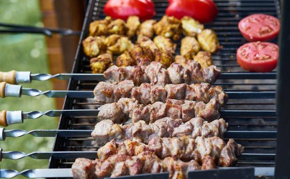 Barbecue shashlik kebab with winglets and tomatoes with roasted pepper in chargrill semifinished