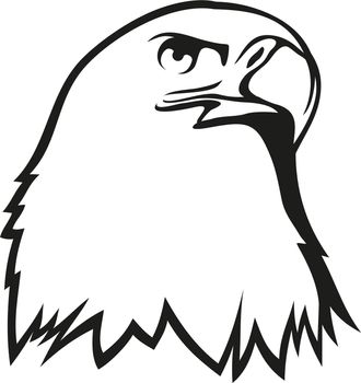 Eagle head icon. Hawk outline logo. Bird of prey