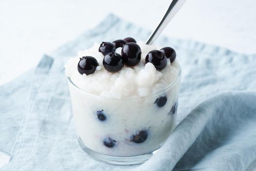 Vegan Coconut Rice Pudding with blueberry, gluten free dessert, side view.