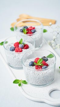 Banner with Chia pudding in bowl with fresh berries raspberries, blueberries.