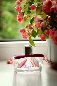 women's perfume Marry me in front of the window