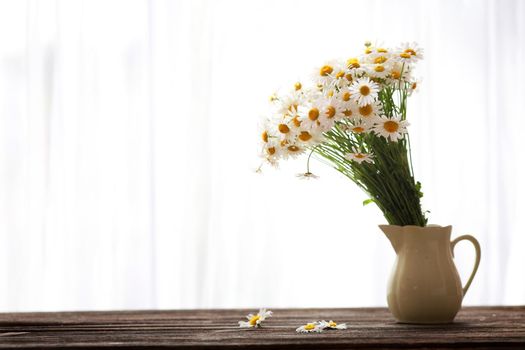 Fresh chamomile flowers on the wooden table