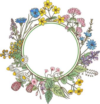 Decorative floral frame. Natural herb round border