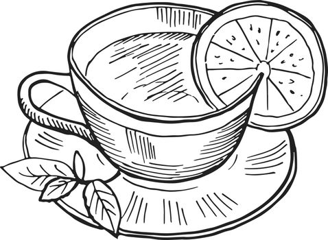 Hot cup of tea with slice of lemon and mint branch on saucer