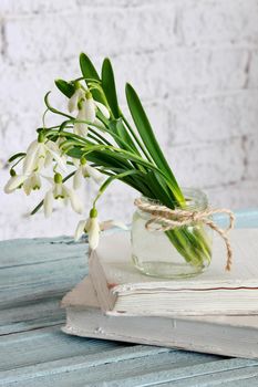 Snowdrops in glass on books