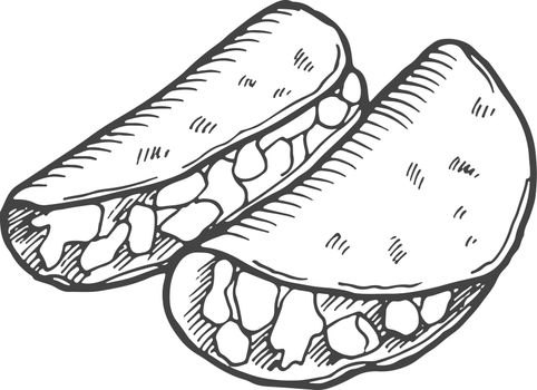 Taco sketch. Traditional mexican fast food dish