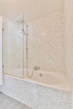 Bathtub with shower and glass partition