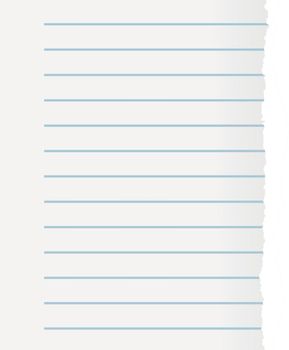 Lined paper sheet. Blank page ripped from notebook