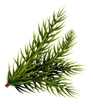 Christmas tree branch. Holiday green plant decoration