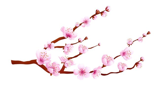 Cherry blossom icon. Traditional japanese tree with pink petals