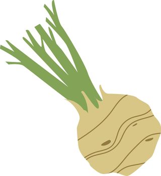 Turnip icon. Color doodle vegetable. Tasty root