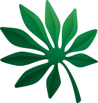 Exotic palm fan leaf. Green tropical foliage icon
