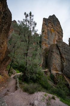 Tunnel Trail Hike in Pinnacles National Park of California