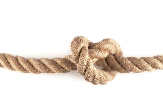 Knot on Wood. Rope with Reef Knot isolated on the white Background