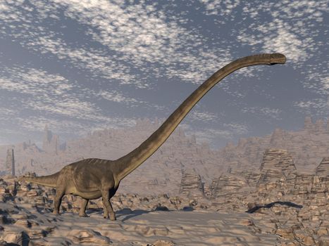 Omeisaurus dinosaur in the desert - 3D render