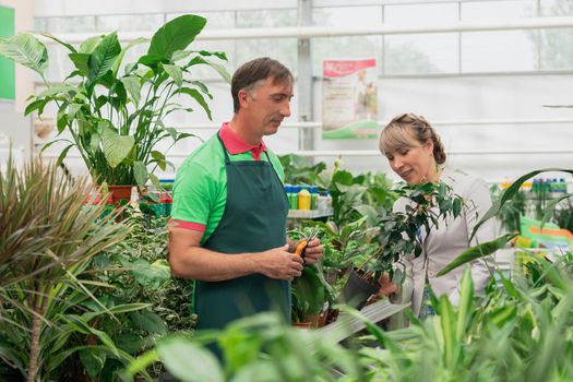 Gardener man advising female client during buying plants in garden center