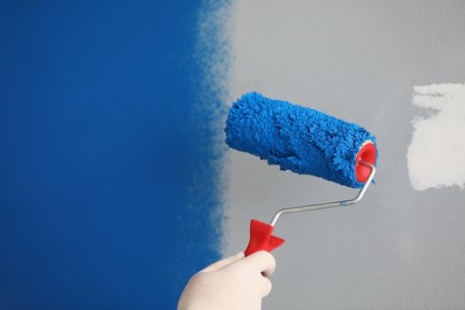 Worker with roller tool ready to paint walls, cover in blue colour