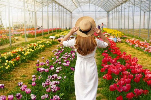 Beautiful girl with white dress and straw hat walking between colorful tulips on springtime