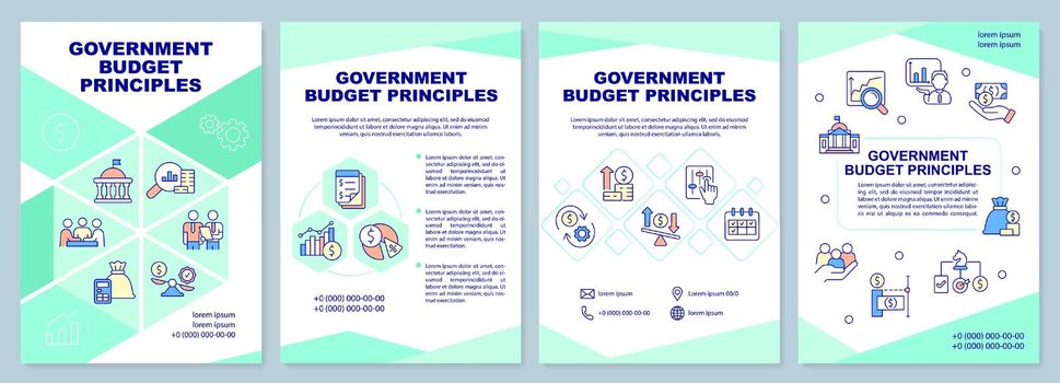 Government budget principles brochure template