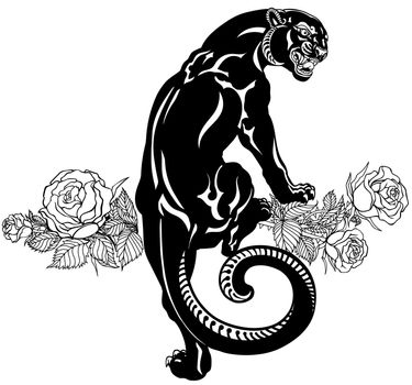 Roaring panther climbing up and blooming roses. Black and white Tattoo