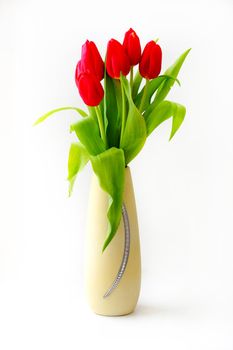 beautiful red tulips in vase