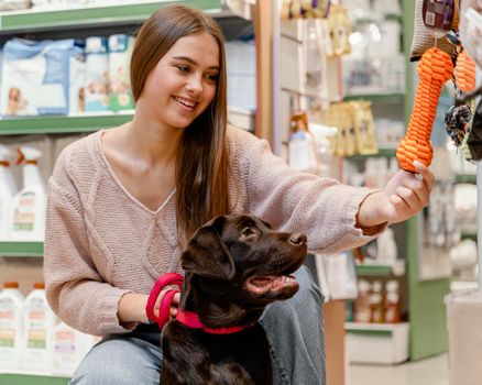 adorable dog with owner pet shop