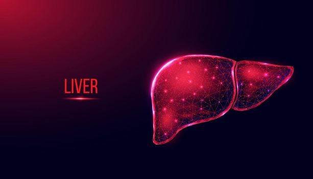 Human liver. Wireframe low poly style. Abstract modern 3d vector illustration on dark blue background.