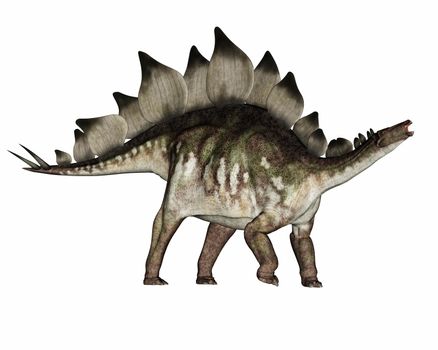 Stegosaurus dinosaur standing and roaring - 3D render