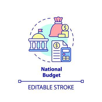 National budget concept icon