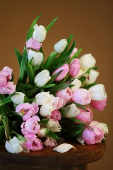 Studio flower flatlay photography of a bouquet of colorful spring tulips with a background.