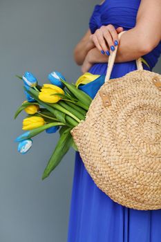 Young beautiful Ukrainian girl in a blue dress holds in a bag yellow and blue tulips