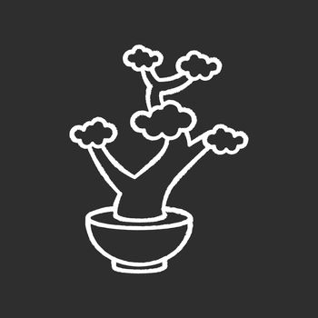 Bonsai chalk white icon on black background. Tiny cultivated potted tree. Decorative gardening. Flowerpot with dwarf plant with foliage on branches. Isolated vector chalkboard illustration