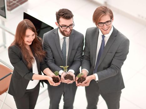 business team holding in their hands green shoots