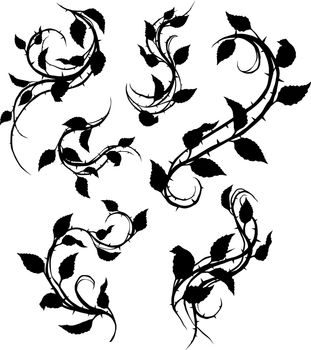 Graphic black silhouette floral rose branch with leaves and thorns. On white background. Vector icon set. Vol. 1