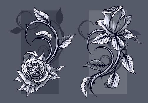 Graphic detailed graphic roses with stem set