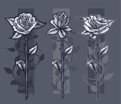 Graphic detailed graphic roses with stem set