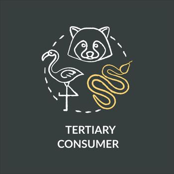 Tertiary consumer chalk RGB color concept icon. Grazing food chain link. Small carnivores and birds. Natural ecosystem idea. Vector isolated chalkboard illustration on black background