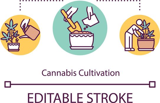 Cannabis cultivation concept icon