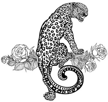 Roaring leopard climbing up and blooming roses. Tattoo black and white