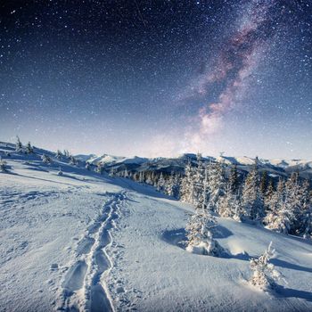 starry sky in winter snowy night. fantastic milky way