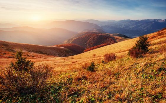 mountain range in the Carpathian Mountains in the autumn season.