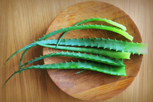Leaf of fresh aloe vera on wooden plate , natural clear gel