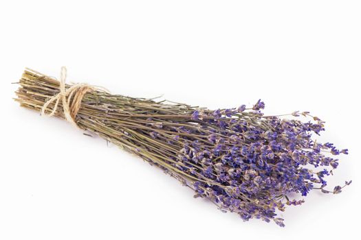 bunch of dried lavender isolated on white background
