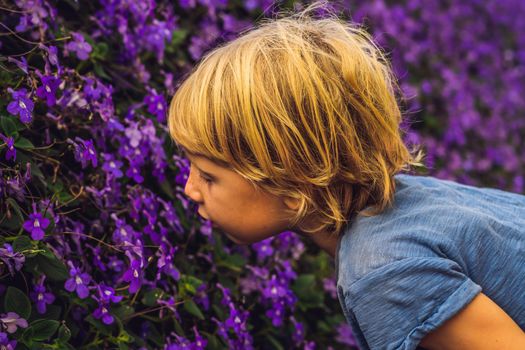 A boy enjoys flowers in a flower greenhouse