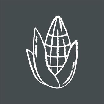 Corn chalk white icon on black background. Corncob pipe with leaf. Sweetcorn. Maize cereal crop. Traditional south american agriculture. Hispanic national cultivation. Isolated vector illustration