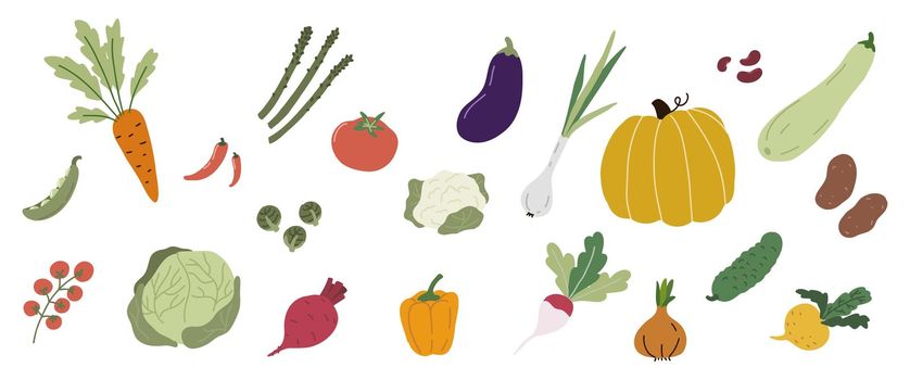 Various vegetables. Organic healphy food. Vector cartoon crops ingredients