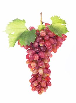 grapes bunch isolated on the white background.