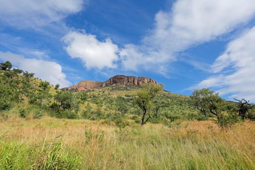 Scenic landscape - Marakele National Park
