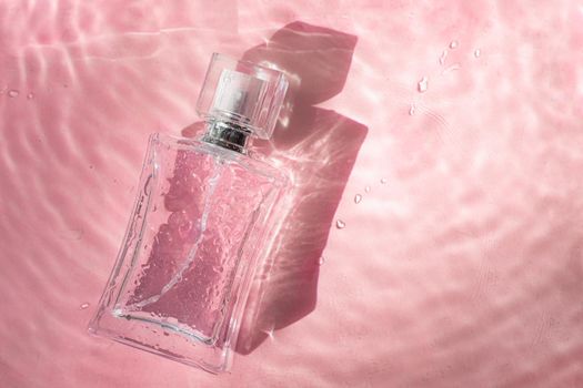 Perfume bottle on the background and water drops. A bottle of perfume without inscriptions . Smell. Perfume on a pink background. Water drops. Copy space.