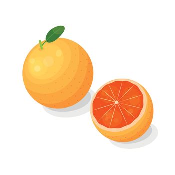 Grapefruit in cartoon style.